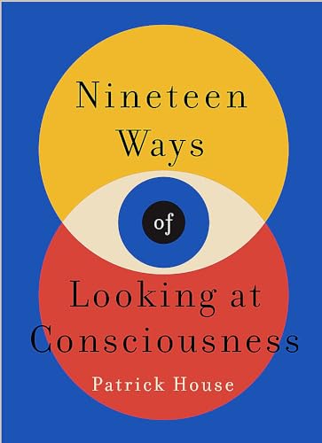 Nineteen Ways of Looking at Consciousness: Our leading theories of how your brain really works von Wildfire