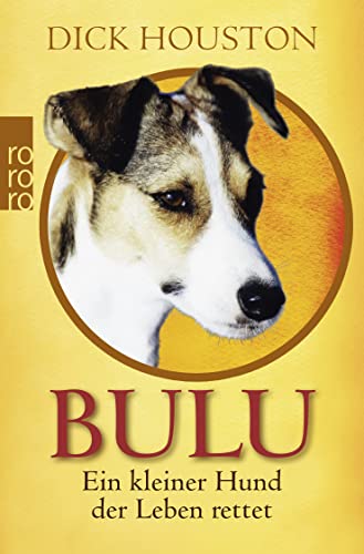 Bulu: Ein kleiner Hund, der Leben rettet