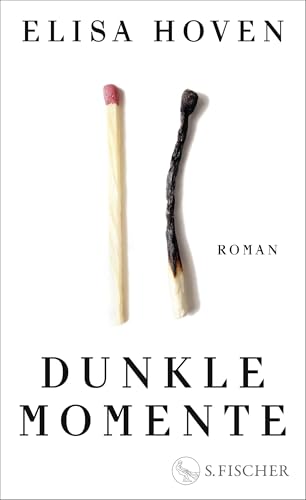 Dunkle Momente: Roman von S. FISCHER