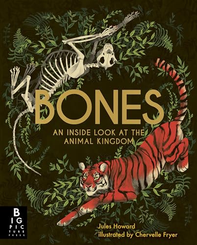 Bones: An Inside Look at the Animal Kingdom von Big Picture Press
