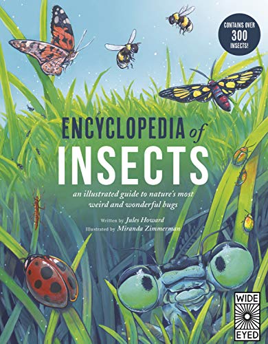 Encyclopedia of Insects: 1 von Wide Eyed Editions
