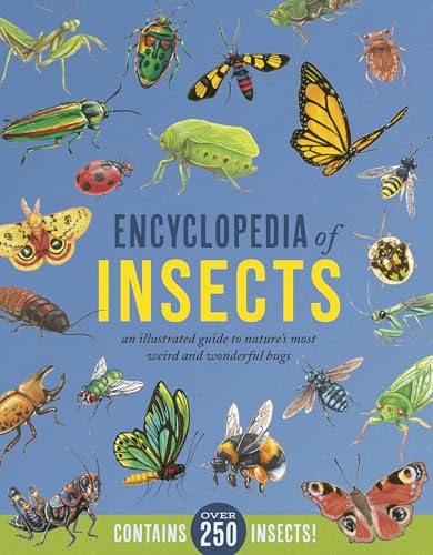 Encyclopedia of Insects: An Illustrated Guide to Nature’s Most Weird and Wonderful Bugs