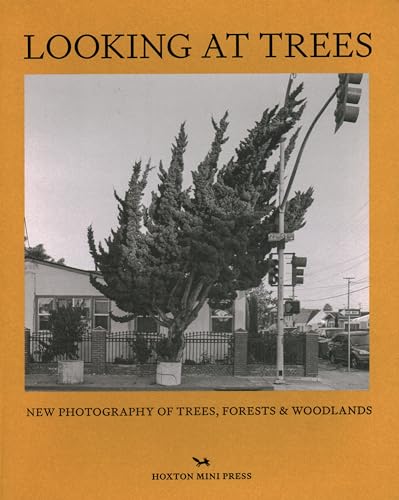 Looking at Trees: New Photography of Trees, Forests and Woodlands von Hoxton Mini Press