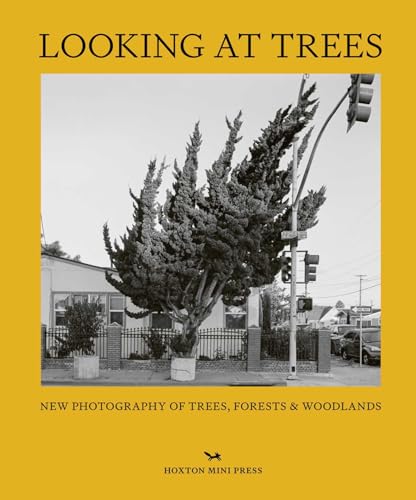 Looking at Trees: New Photography of Trees, Forests and Woodlands von Hoxton Mini Press