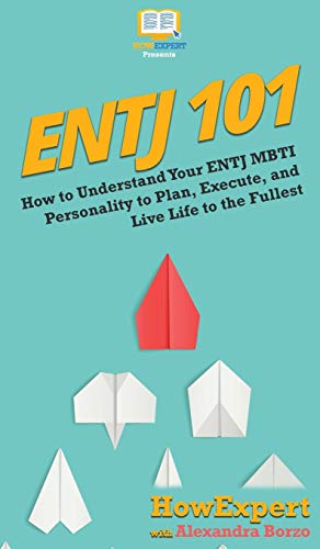 ENTJ 101: How To Understand Your ENTJ MBTI Personality to Plan, Execute, and Live Life to the Fullest