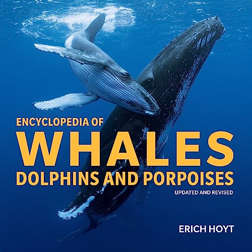 Encyclopedia of Whales: Dolphins and Porpoises von Firefly Books Ltd