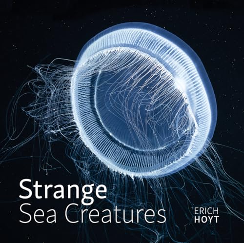 Strange Sea Creatures von Firefly Books