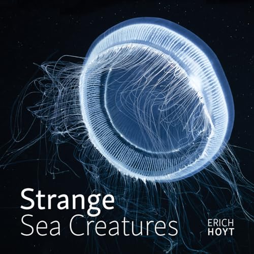 Strange Sea Creatures von Firefly Books Ltd