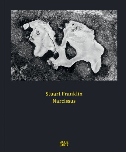 Stuart Franklin: Narcissus (Fotografie)