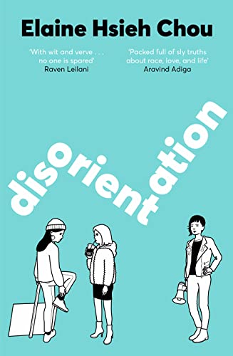 Disorientation von Picador