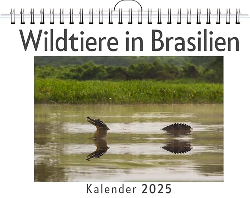 Wildtiere in Brasilien - (Wandkalender 2025, Kalender DIN A4 quer, Monatskalender im Querformat mit Kalendarium, das perfekte Geschenk) von FlipFlop