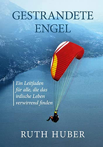 Gestrandete Engel: Ein Leitfaden für alle, die das irdische Leben verwirrend finden von tredition