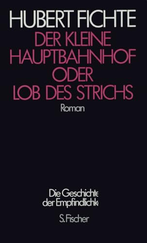Der Kleine Hauptbahnhof oder Lob des Strichs: Roman von FISCHERVERLAGE