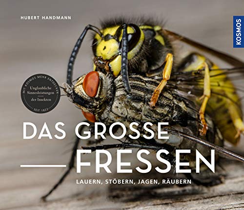 Das große Fressen: Lauern, stöbern, jagen, räubern