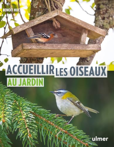 Accueillir les oiseaux au jardin