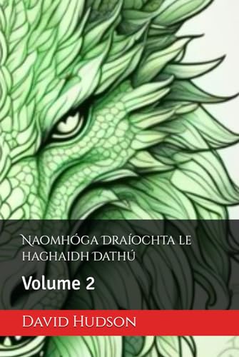 Naomhóga Draíochta le haghaidh Dathú: Volume 2 von Independently published