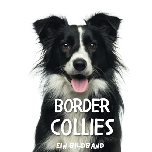 Border Collies: Ein Bildband von 27 Amigos