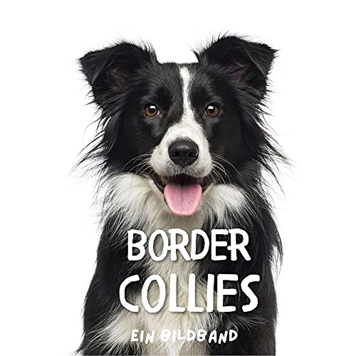 Border Collies: Ein Bildband von 27 Amigos