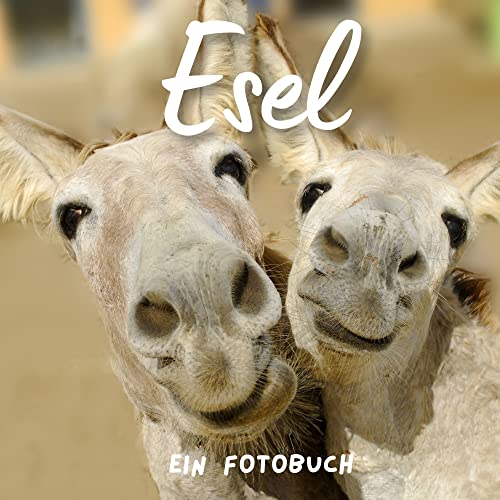 Esel: Ein Fotobuch von 27 Amigos