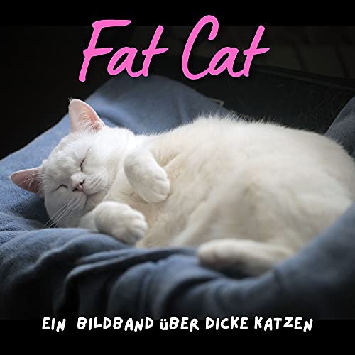 Fat-Cat: Ein Bildband über dicke Katzen