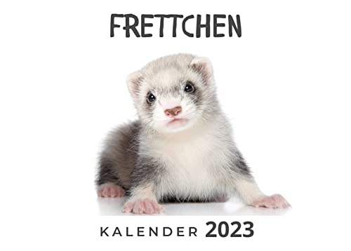 Frettchen: Kalender 2023 Frettchen: Kalender 2023