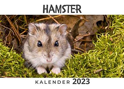 Hamster: Kalender 2023