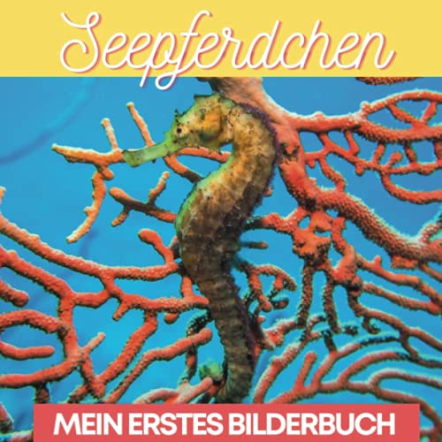 Mein erstes Bilderbuch über Seepferdchen von 27 Amigos