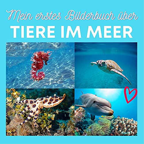 Mein erstes Bilderbuch über: Tiere im Meer von 27 Amigos