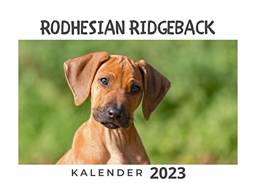 Rodhesian Ridgeback: Kalender 2023