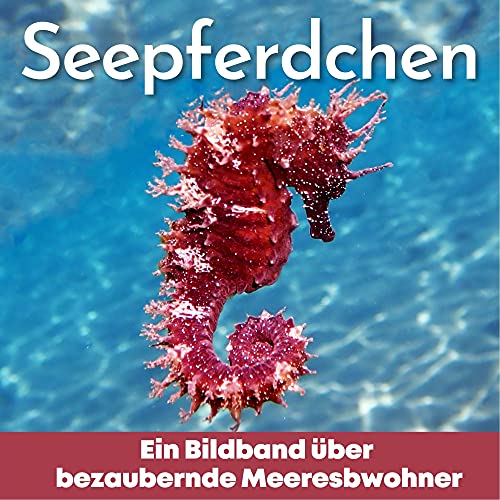 Seepferdchen: Ein Bildband über bezaubernde Meeresbewohner Seepferdchen: Ein Bildband über bezaubernde Meeresbewohner von 27 Amigos