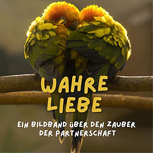 Wahre Liebe: Ein Bildband über den Zauber der Partnerschaft von 27 Amigos