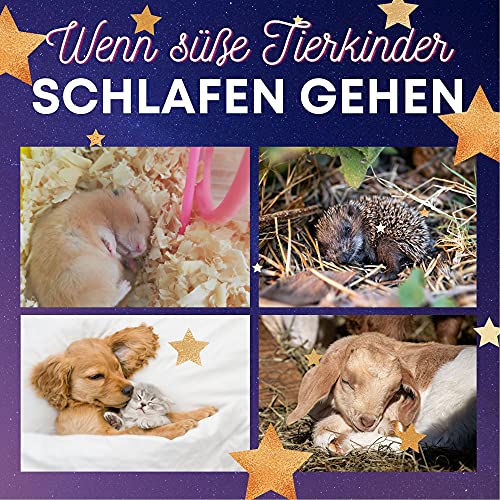 Wenn süße Tierkinder: schlafen gehen Wenn süße Tierkinder: schlafen gehen