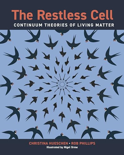 The Restless Cell: Continuum Theories of Living Matter