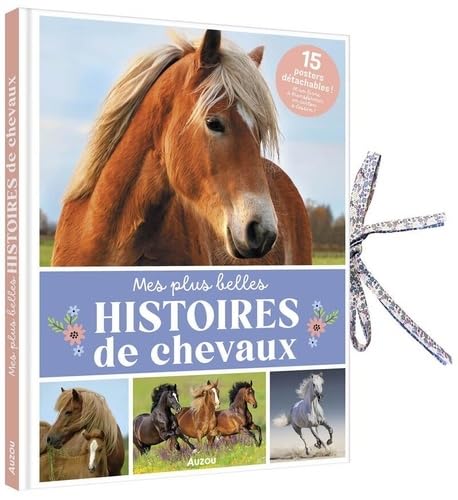 Livre-poster : Mes histoires de chevaux von AUZOU