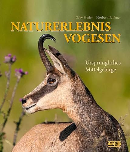 NATURERLEBNIS VOGESEN: Ursprüngliches Mittelgebirge