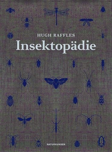 Insektopädie (Naturkunden) von Matthes & Seitz Verlag