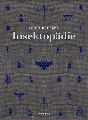 Insektopädie (Naturkunden) von Matthes & Seitz Verlag