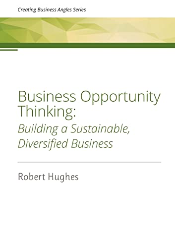 Business Opportunity Thinking: Building a Sustainable, Diversified Business (Creating Business Angles, Band 2)