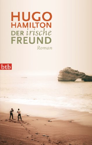 Der irische Freund: Roman von btb