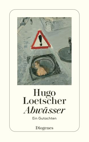 Abwässer: Ein Gutachten (detebe) von Diogenes Verlag AG