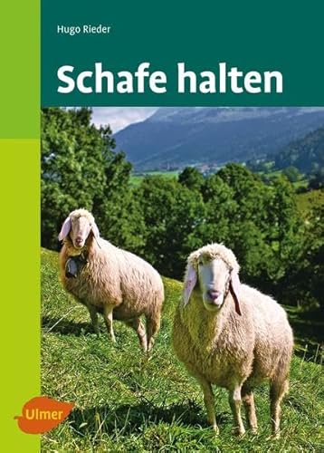 Schafe halten