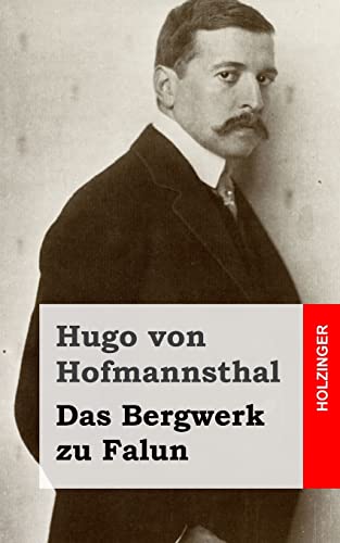 Das Bergwerk zu Falun von CREATESPACE