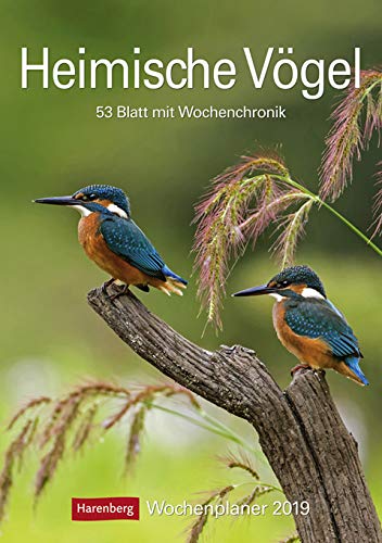 Heimische Vögel Wochenplaner 2023. Wochenkalendarium, Infos zu den porträtierten Vogelarten und viel Platz für Termine in dem praktischen Wand-Kalender 2023 zum Eintragen.: 53 Blatt mit Wochenchronik von Harenberg