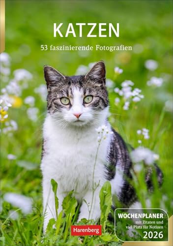Katzen Wochenplaner 2026 - 53 faszinierende Fotografien: Wandkalender mit Platz für Notizen und vielen süßen Katzenfotos. Tierkalender 2026 mit ... 25 x 35,5 cm (Wochenplaner Harenberg) von Harenberg