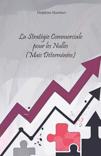 La Stratégie Commerciale pour les Nulles (ais déterminées: Construis ta stratégie, trouve tes clients et développe ton activité sans pression von AFNIL