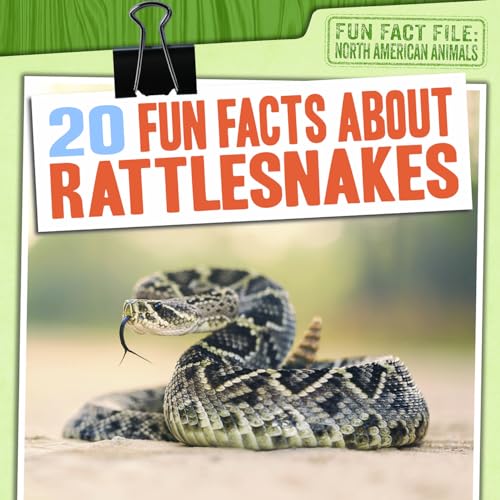 20 Fun Facts About Rattlesnakes (Fun Fact File: North American Animals)