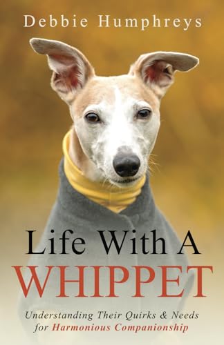 Life With a Whippet: Understanding Their Quirks and Needs for Harmonious Companionship