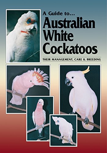 A Guide to Australian White Cockatoos: Their Management Care & Breeding