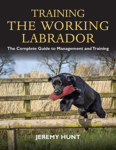 Training the Working Labrador: The Complete Guide to Management and Training von Quiller Publishing Ltd