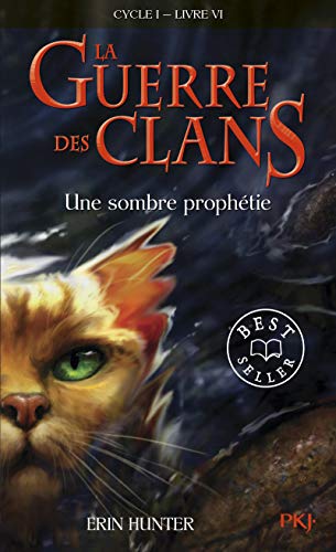 Une Sombre Prohetie von POCKET JEUNESSE